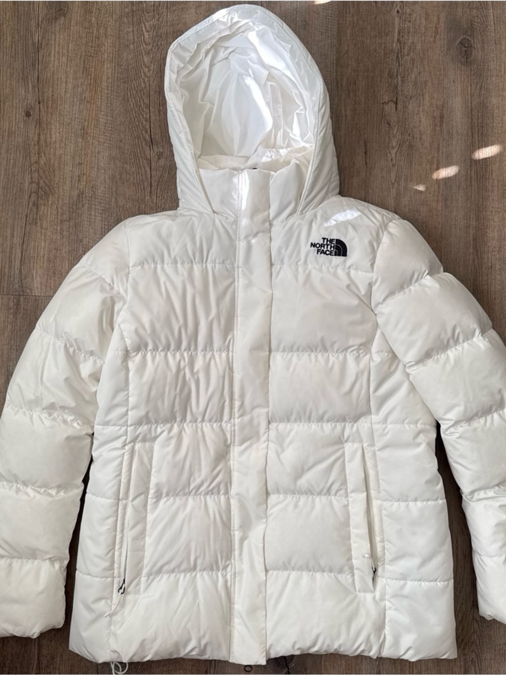 The North Face Hooded Puffer Jacket